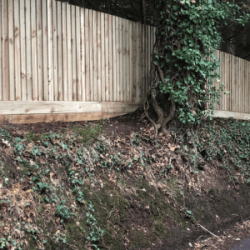 Feather edge fencing at the top of a bank