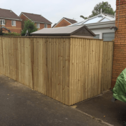 Feather edge fencing enclosing a garden