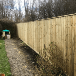 Feather edge fencing for privacy in a garden