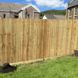 Feather edge fencing in the back garden of a house