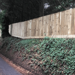 Feather edge fencing running along the top of a bank