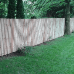 Feather edge fencing running behind trees