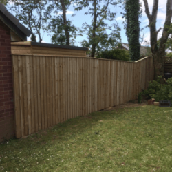 Feather edge fencing separating two gardens