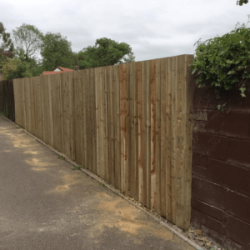 New feather edge fencing