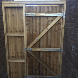 Single feather edge gate and side fencing from behind