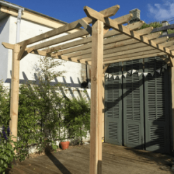 Timber pergola in back garden