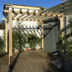 Timber pergola