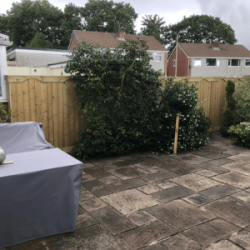 Tongue and groove fencing in back garden